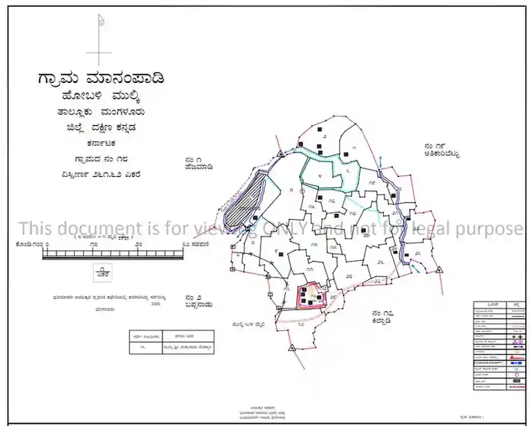 Karnataka village map with survey boundaries, roads, and landmarks.