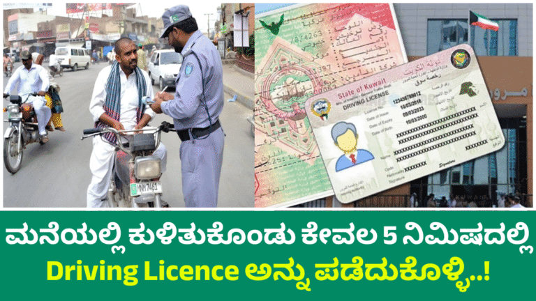 Driving Licence